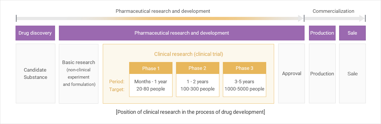 Stages and Procedures of New Drug Development