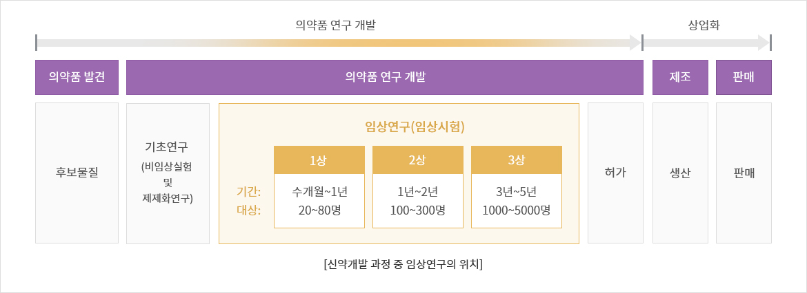 신약개발의 단계와 절차